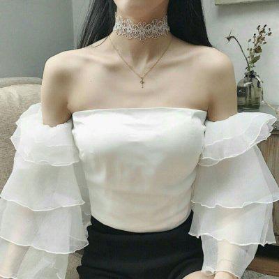 海星体育app下载ios